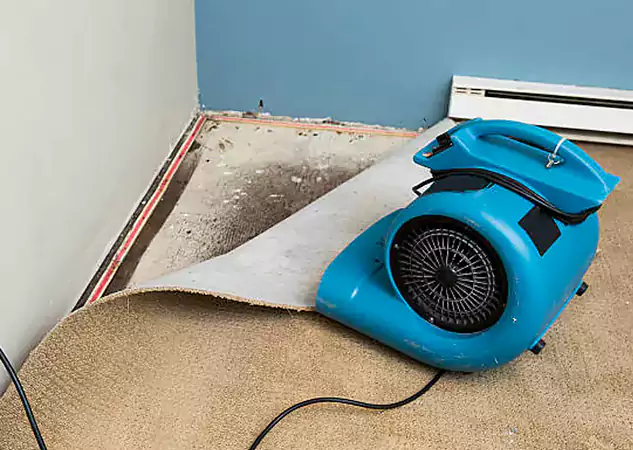 Your Water Damage Experts in Conley, GA