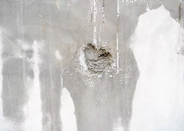 Your Mold Mitigation Solutions Partner in Conley, GA