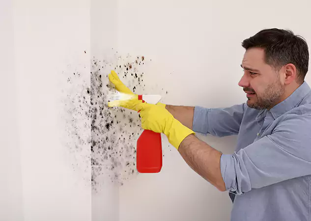 Your Water Mold Fire Restoration Partner in Conley, GA