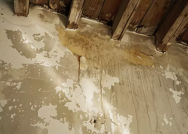 Your Trusted Restoration Company in Conley, GA