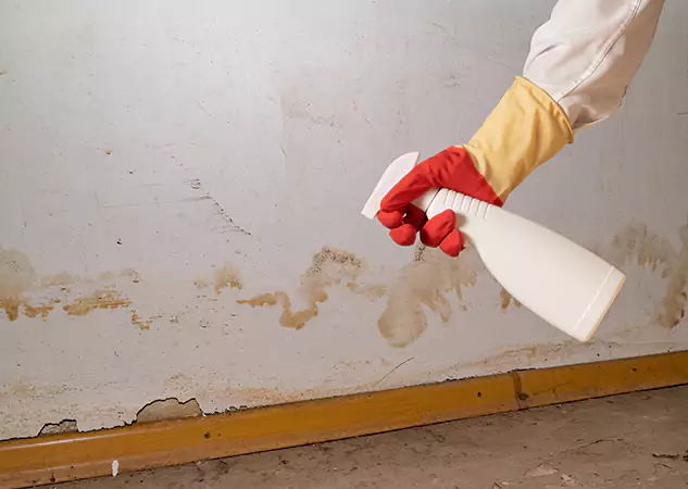 Your Water Restoration and Mold Remediation Specialists in Conley, GA
