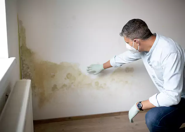 Reach Our Remediation Team Before Damage Grows in Conley, GA!