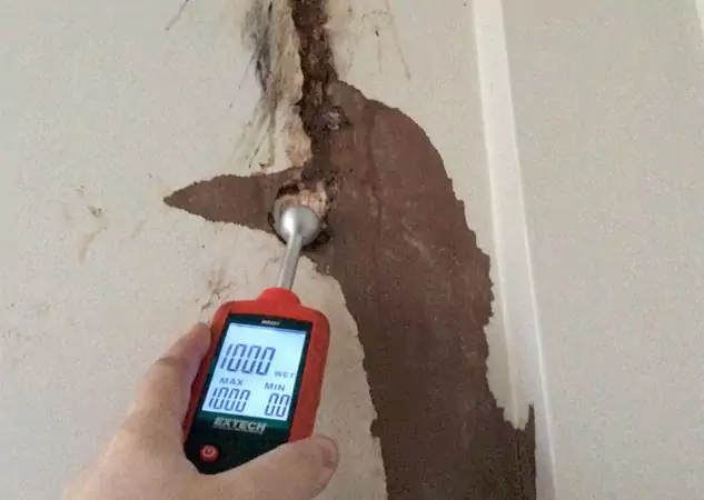 Your Water Damage Assessment Partner in Conley, GA