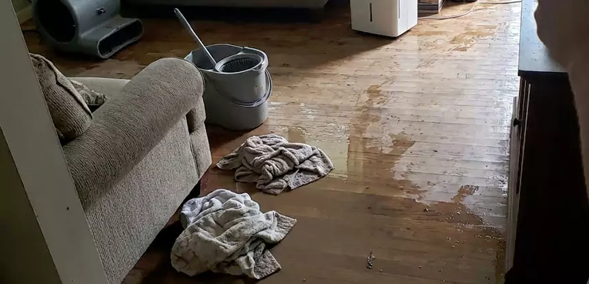 Professional Basement Water Remediation Services in Conley, GA