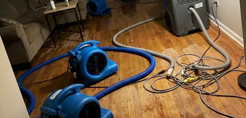 Basement Flood Restoration Services in Conley