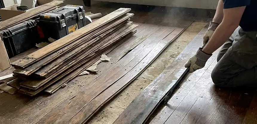 Wood Rot and Fungus Repair in Conley