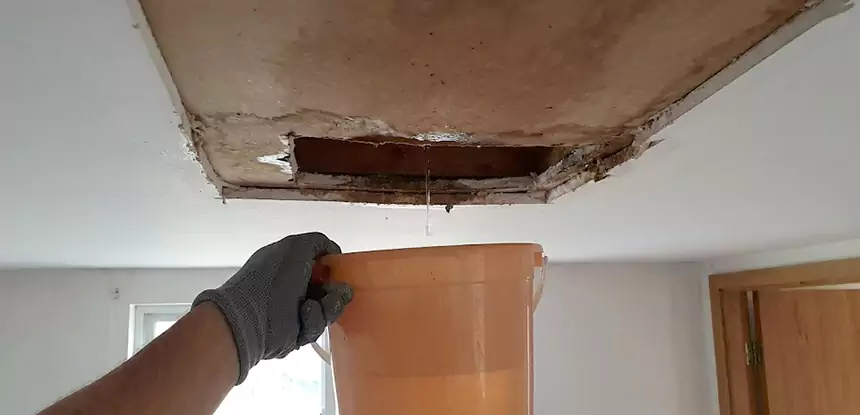 Ceiling Mold Repair Conley