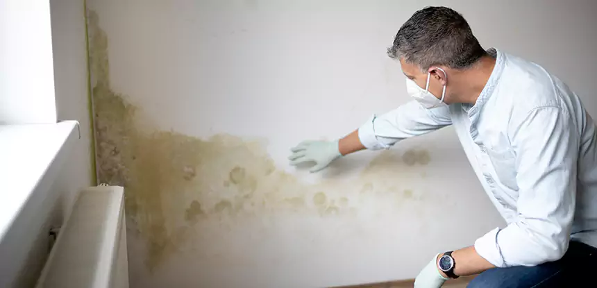 Mold and Water Damage Repair in Conley