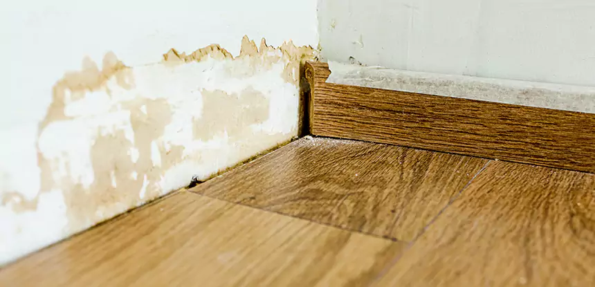 Professional Fix Water Damaged Wood Services in Conley, GA