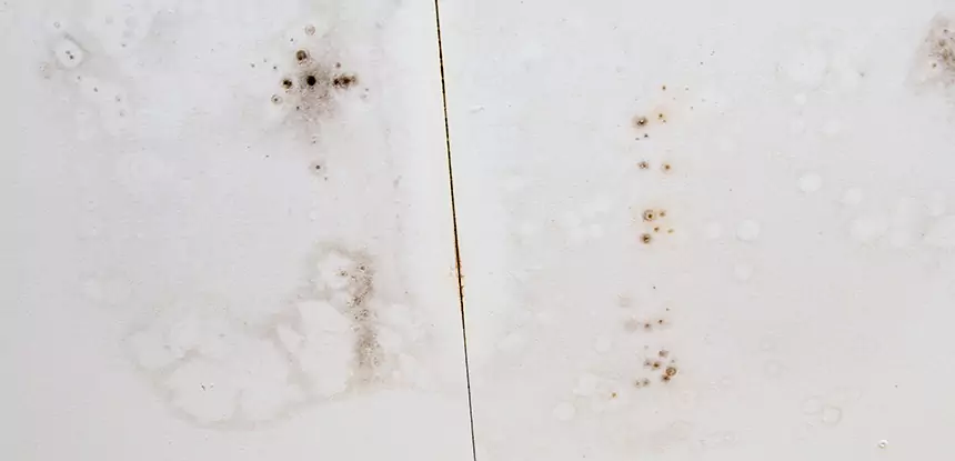 Professional Water Stain Repair Services in Conley, GA