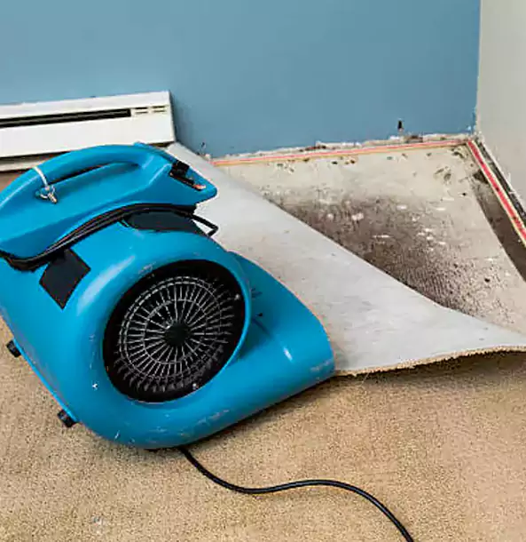 Why Conley Trusts Conley Restoration Pro for Carpet Flood Recovery?