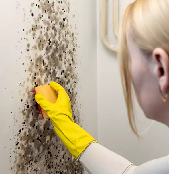 Why Conley Restoration Pro Leads Mold Remediation in Conley?