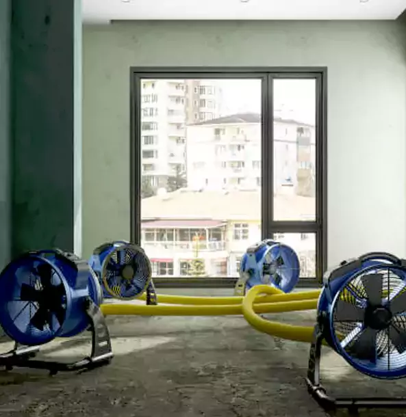 Why Conley Property Owners Trust Conley Restoration Pro for Water Damage Drying?
