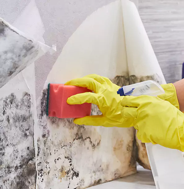 Why Conley Trusts Conley Restoration Pro for Mold and Water Restoration?