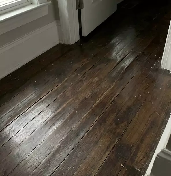 Why Conley Homeowners Trust Conley Restoration Pro to Fix Water Damaged Wood?