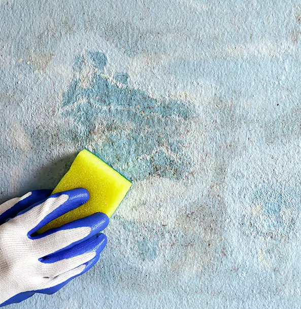 Why Conley Restoration Pro Is the Right Choice in Conley, GA?