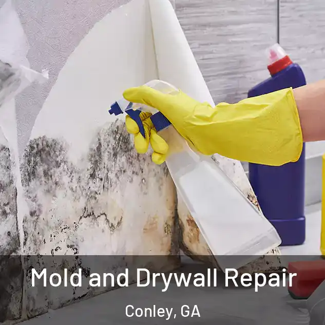  Mold and Drywall Repair Conley, GA