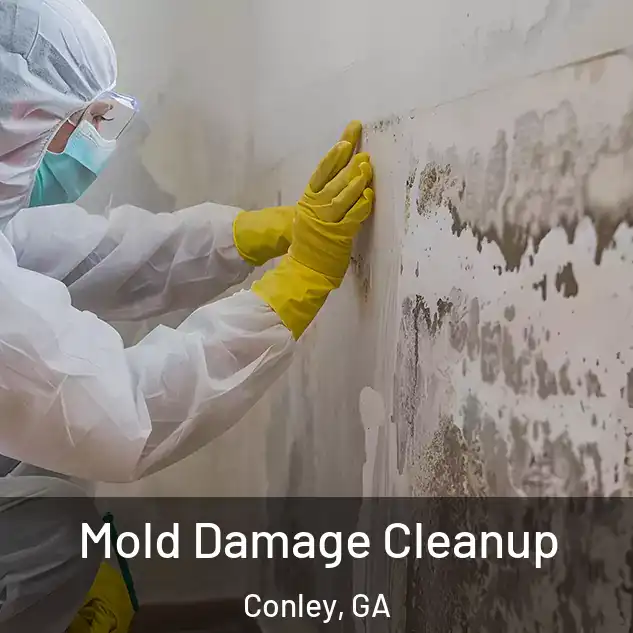  Mold Damage Cleanup Conley, GA