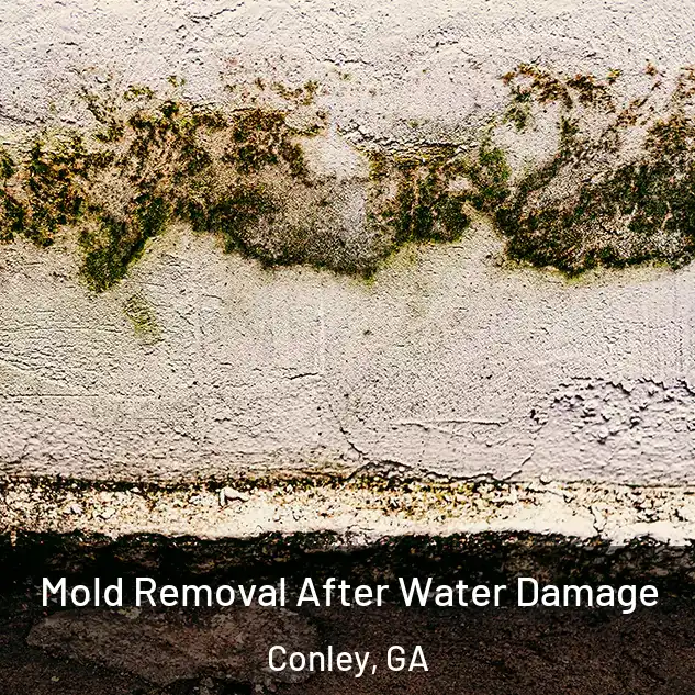  Mold Removal After Water Damage Conley, GA