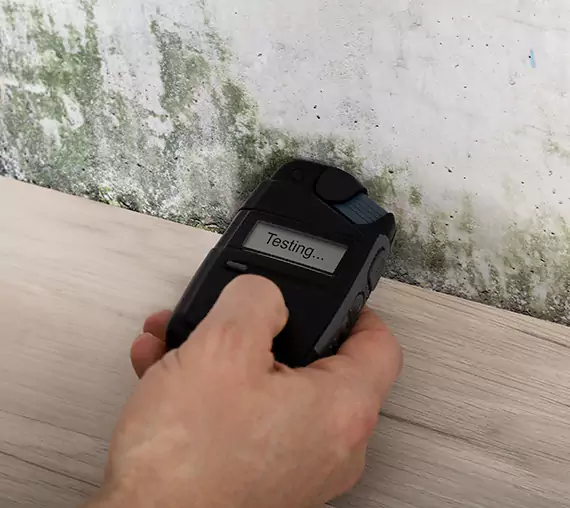 Mold Remediation Service Conley