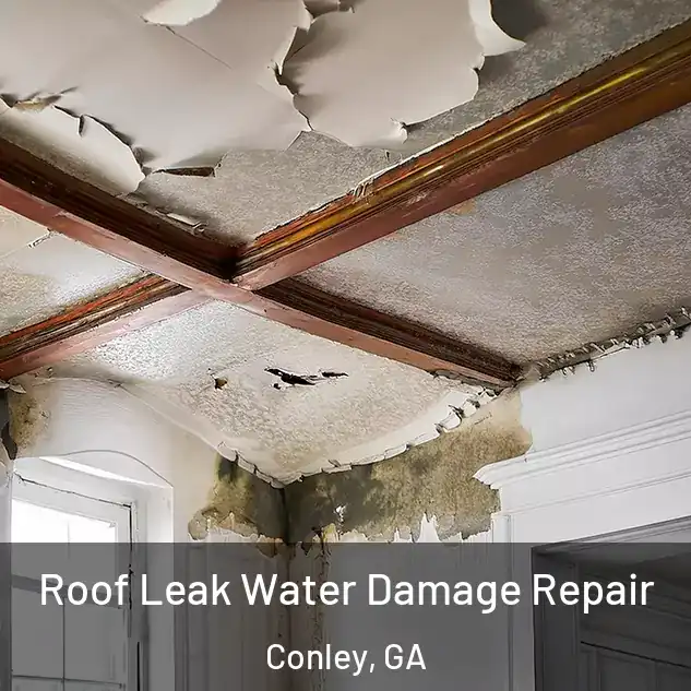 Roof Leak Water Damage Repair Conley, GA