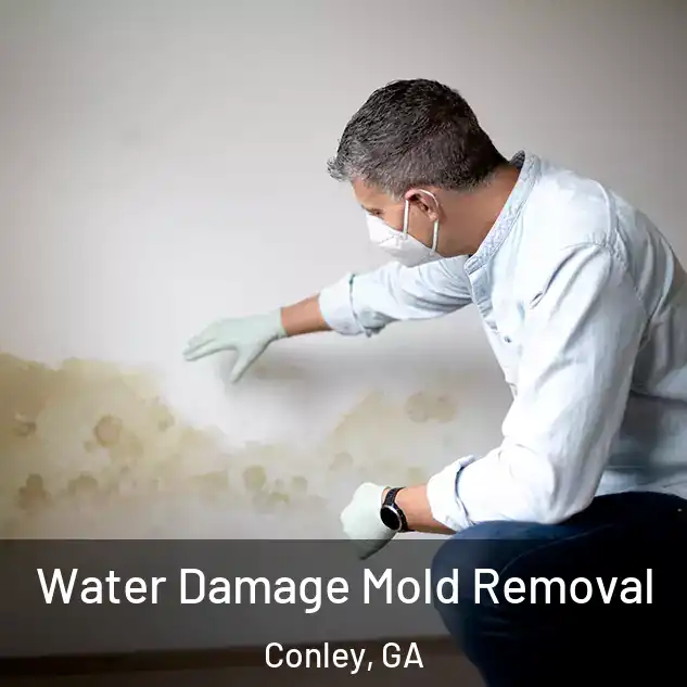  Water Damage Mold Removal Conley, GA