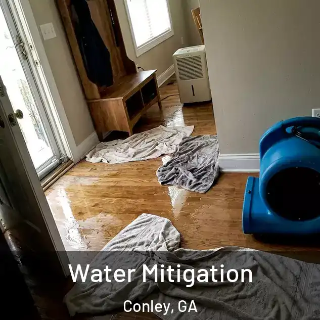  Water Mitigation Conley, GA