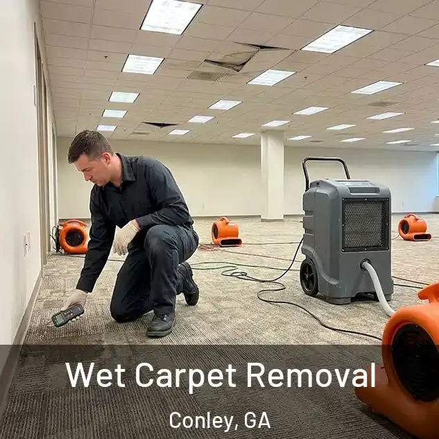  Wet Carpet Removal Conley, GA